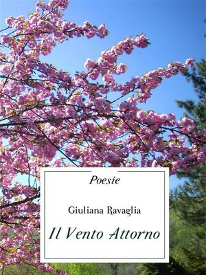 cover image of Il Vento Attorno